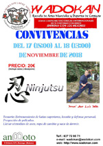 Convivencia Wadokan. Noviembre 2018