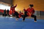 Combates de Grappling. Polideportivo Municipal de Zorroza - BILBAO