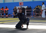 Wadokan. Batalla de Toledo 2019