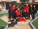 Wadokan. Batalla de Toledo 2019