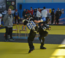 Wadokan. Batalla de Toledo 2019