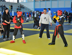 Wadokan. Batalla de Toledo 2019