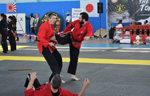 Wadokan. Batalla de Toledo 2019