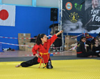Wadokan. Batalla de Toledo 2019