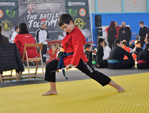 Wadokan. Batalla de Toledo 2019
