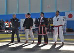 Wadokan. Batalla de Toledo 2019
