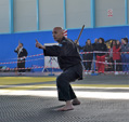 Wadokan. Batalla de Toledo 2019