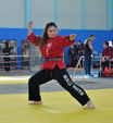 Wadokan. Batalla de Toledo 2019