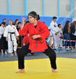 Wadokan. Batalla de Toledo 2019