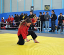 Wadokan. Batalla de Toledo 2019