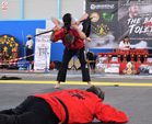 Wadokan. Batalla de Toledo 2019