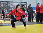 Wadokan. Batalla de Toledo 2019