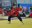 Wadokan. Batalla de Toledo 2019