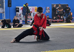 Wadokan. Batalla de Toledo 2019