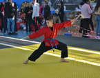 Wadokan. Batalla de Toledo 2019