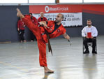 Wadokan. LIGAS DE KARATE MODERNO DE BIZKAIA EPKA. Kumite adultos y formas Infantiles