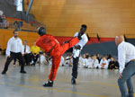 Wadokan. LIGAS DE KARATE MODERNO DE BIZKAIA EPKA. Kumite adultos y formas Infantiles