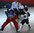 Wadokan. LIGAS DE KARATE MODERNO DE BIZKAIA EPKA. Kumite adultos y formas Infantiles
