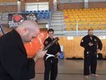 Wadokan. Seminario Internacional de Tenshin Ryu 