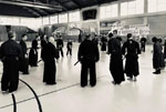 Wadokan. Seminario Internacional de Tenshin Ryu 
