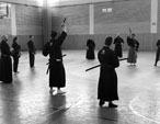Wadokan. Seminario Internacional de Tenshin Ryu 