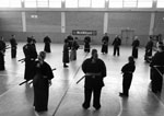Wadokan. Seminario Internacional de Tenshin Ryu 