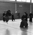 Wadokan. Seminario Internacional de Tenshin Ryu 