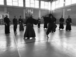Wadokan. Seminario Internacional de Tenshin Ryu 
