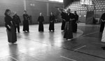 Wadokan. Seminario Internacional de Tenshin Ryu 