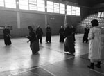 Wadokan. Seminario Internacional de Tenshin Ryu 