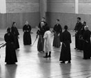 Wadokan. Seminario Internacional de Tenshin Ryu 