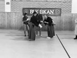 Wadokan. Seminario Internacional de Tenshin Ryu 