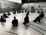 Wadokan. Seminario Internacional de Tenshin Ryu 