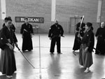Wadokan. Seminario Internacional de Tenshin Ryu 
