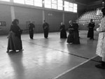 Wadokan. Seminario Internacional de Tenshin Ryu 