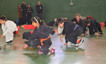 Wadokan. Tecnificación combate