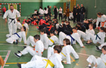 Wadokan. Tecnificación combate