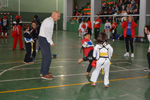 Wadokan. Tecnificación combate