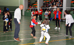 Wadokan. Tecnificación combate