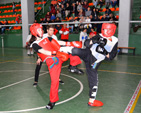 Wadokan. Tecnificación combate