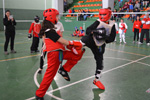 Wadokan. Tecnificación combate