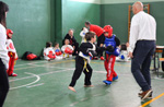Wadokan. Tecnificación combate