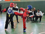 Wadokan. Tecnificación combate