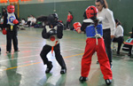 Wadokan. Tecnificación combate