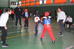 Wadokan. Tecnificación combate