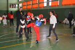 Wadokan. Tecnificación combate