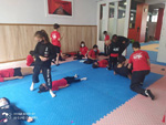 Wadokan. Escuela Ninja – 2021 