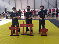 Wadokan. Batalla de Toledo-2022 