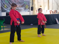 Wadokan. Batalla de Toledo-2022 