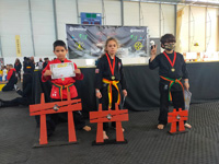 Wadokan. Batalla de Toledo-2022 